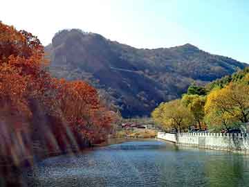 新澳天天开奖资料大全旅游团，上海大众途观论坛